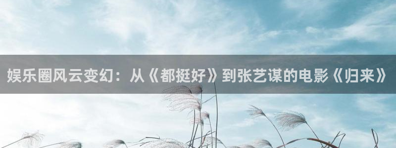 杏宇在线：娱乐圈风云变幻：从《都挺好》到张艺谋的电影《归来》