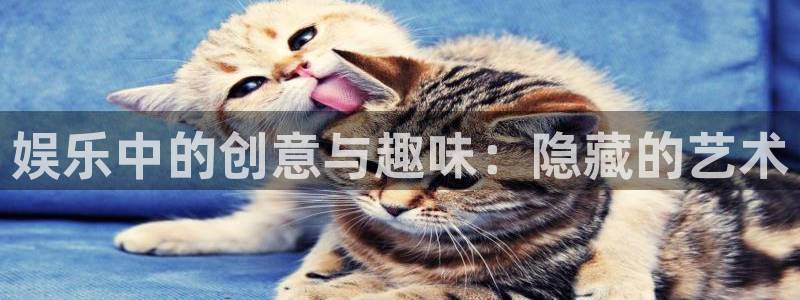 杏宇在线：娱乐中的创意与趣味：隐藏的艺术