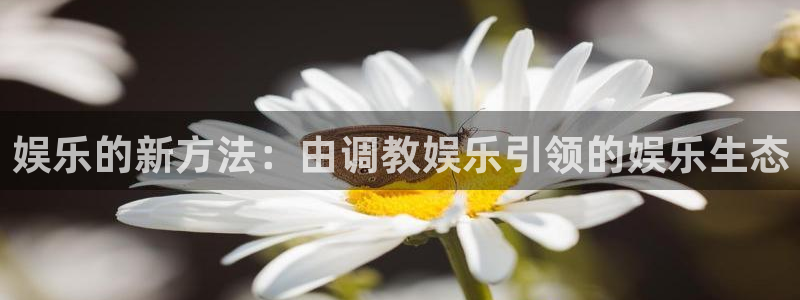 杏宇平台：娱乐的新方法：由调教娱乐引领的娱乐生态