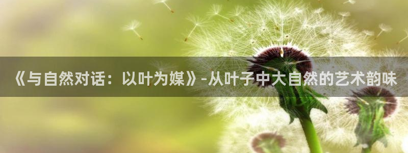 杏宇在线：《与自然对话：以叶为媒》-从叶子中大自然的艺术韵味