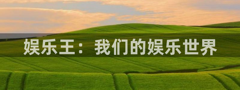 杏宇平台：娱乐王：我们的娱乐世界