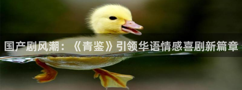 upload/20250701114914.jpg