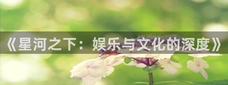 杏宇平台：《星河之下：娱乐与文化的深度》
