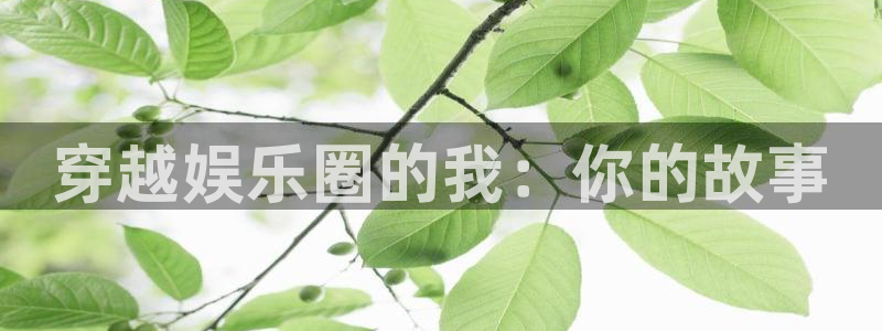 杏宇娱乐：穿越娱乐圈的我：你的故事