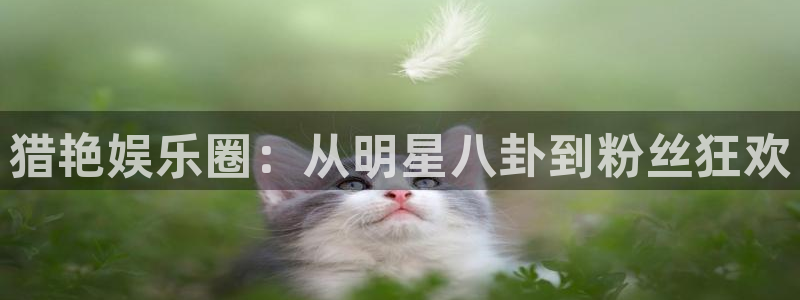 upload/20250701114914.jpg